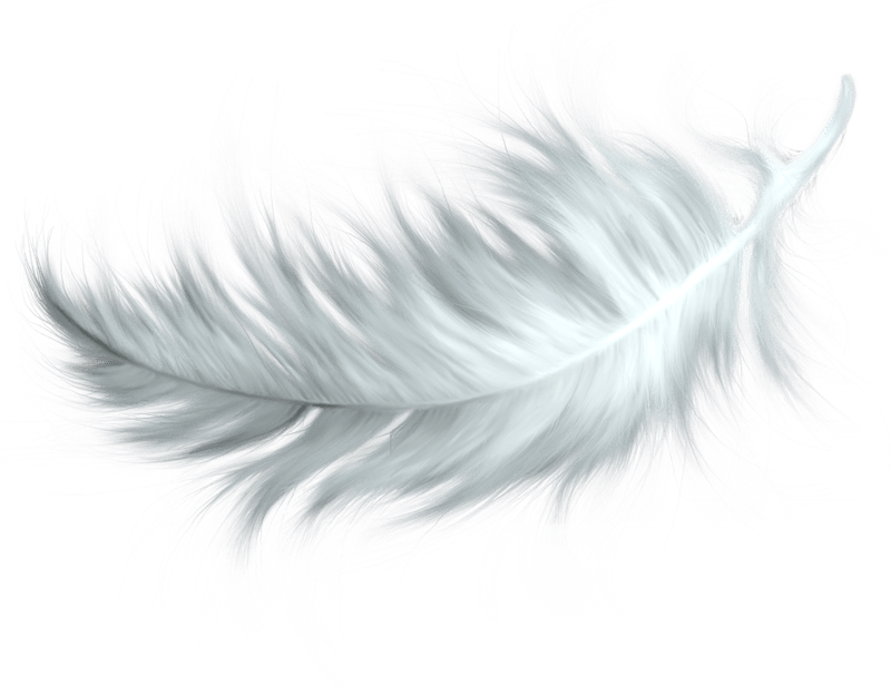 feather